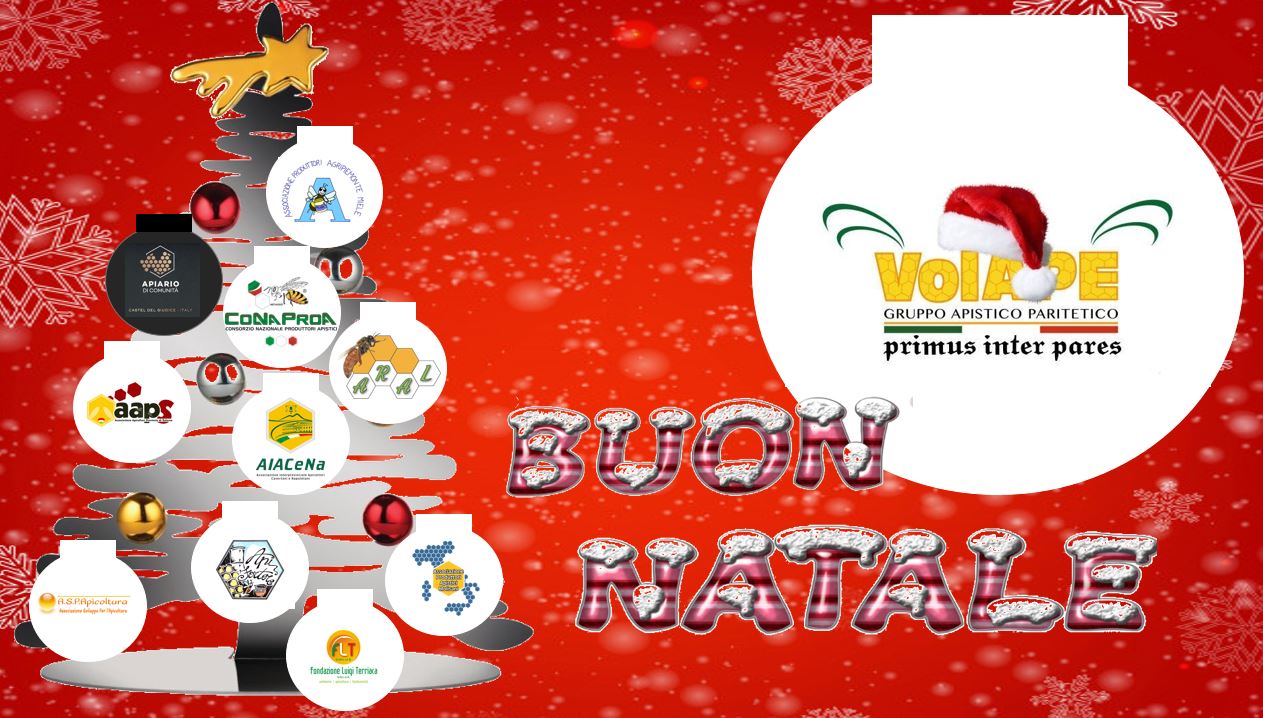 Buone feste