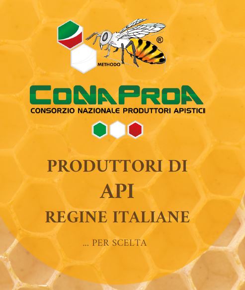 NUOVO DEPLIANT