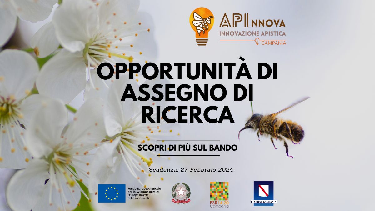 Bando di concorso: Opportunità Professionale nell’Ambito della Ricerca Apistica